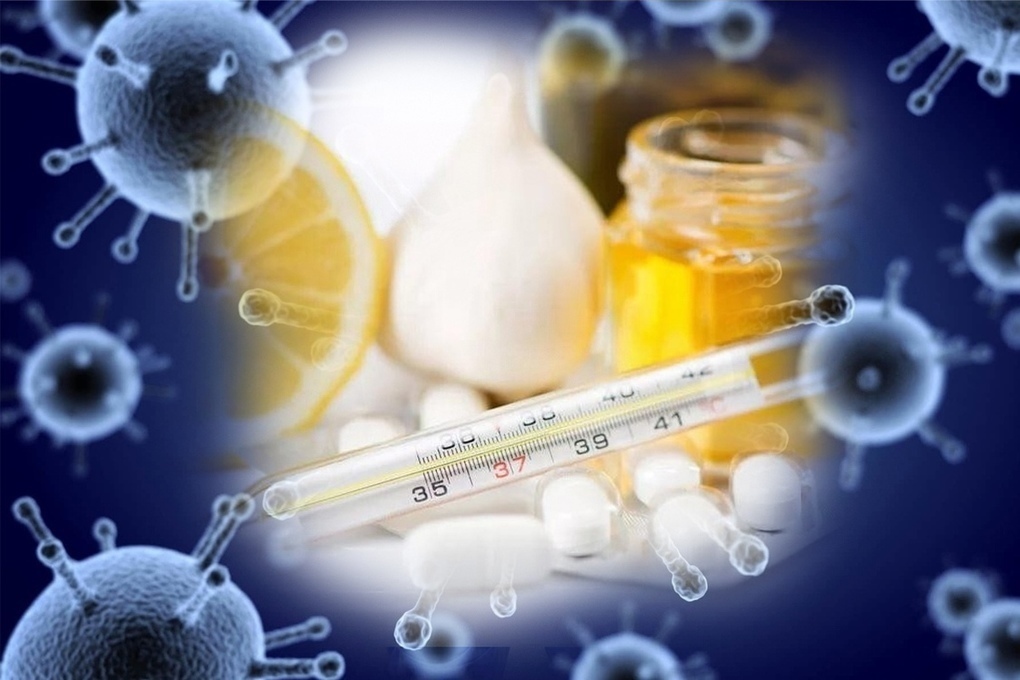 Всероссийская горячая линия по профилактике гриппа