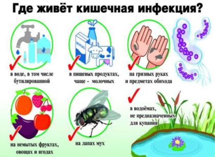 Рекомендации по профилактике кишечных (энтеровирусных) инфекций в детских коллективах